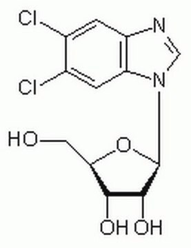 5,6-Dichloro-1-&#946;-D-ribofuranosylbenzimidazole A potent, ATP-competitive, and specific inhibitor of casein kinase II (IC&#8325;&#8320; = 6 &#181;M).