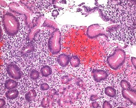 Eosin B (bläulich) (C.I.45400) for microscopy Certistain&#174;