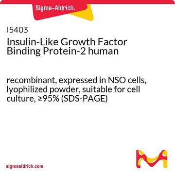 インスリン様増殖因子結合タンパク質-2 ヒト recombinant, expressed in NSO cells, lyophilized powder, suitable for cell culture, &#8805;95% (SDS-PAGE)