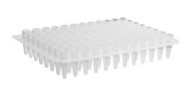 Corning&#174; Axygen&#174; PCR Microplate size 96&#160;wells, conical bottom clear polypropylene wells, pkg of 5x10plates/cs