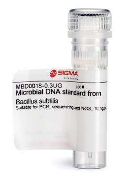 Wzorzec mikrobiologicznego DNA z Bacillus subtilis Suitable for PCR, Sequencing and NGS, 10&#160;ng/&#956;L