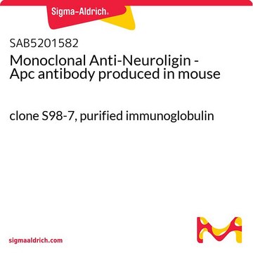 Monoklonalna anty-neuroligina- Apc clone S98-7, purified immunoglobulin