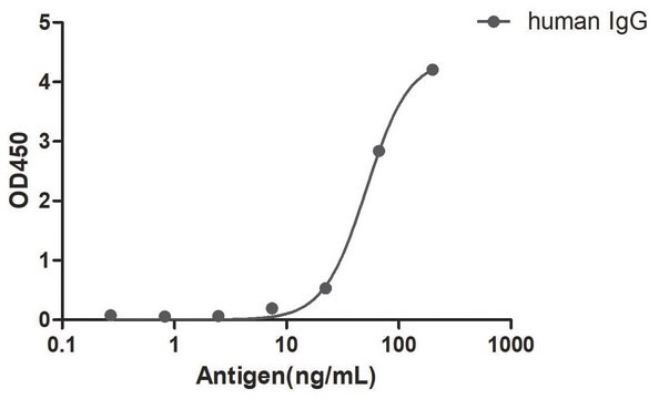 Alpaca Anti-Human IgG(Fc&#947;) Biotin single domain Antibody recombinant Alpaca(VHH) Nano antibody