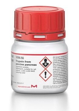 Tripsina from porcine pancreas lyophilized powder, BioReagent, suitable for cell culture, 1,000-2,000&#160;BAEE units/mg solid