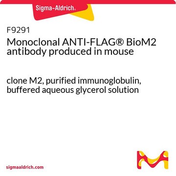 Anticorpo monoclonale ANTI-FLAG&#174; M2 clone M2, purified immunoglobulin, buffered aqueous glycerol solution