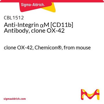 Anti-Integrin &#945;M [CD11b] Antibody, clone OX-42 clone OX-42, Chemicon&#174;, from mouse