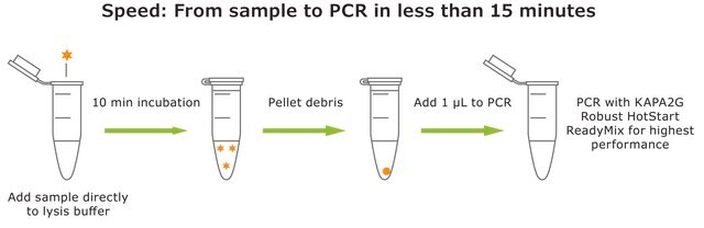 KAPA Express Extract with PCR ReadyMix