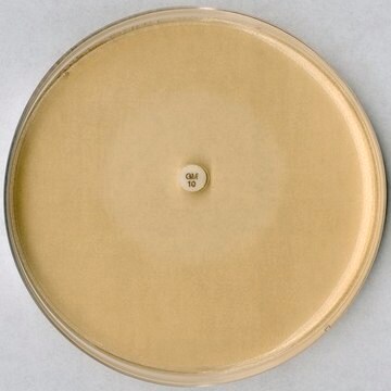 Testagar pH 8,0 für den Hemmstofftest for microbiology