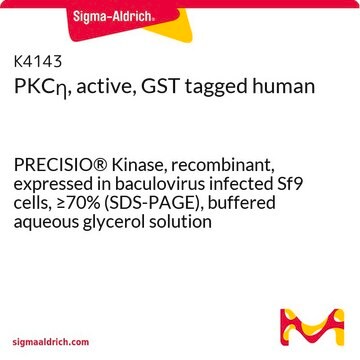 PKC&#951;, active, GST tagged human PRECISIO&#174; Kinase, recombinant, expressed in baculovirus infected Sf9 cells, &#8805;70% (SDS-PAGE), buffered aqueous glycerol solution