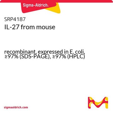 IL-27 from mouse recombinant, expressed in E. coli, &#8805;97% (SDS-PAGE), &#8805;97% (HPLC)