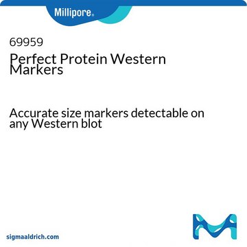 Perfect Protein Western-Marker Accurate size markers detectable on any Western blot