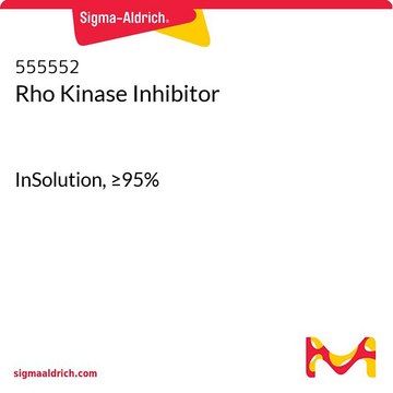 Rho-Kinase-Inhibitor InSolution, &#8805;95%