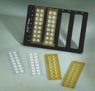 FASTフレームスライドホルダー FAST frame slide holder, for 1 to 4 slides, 1/pk