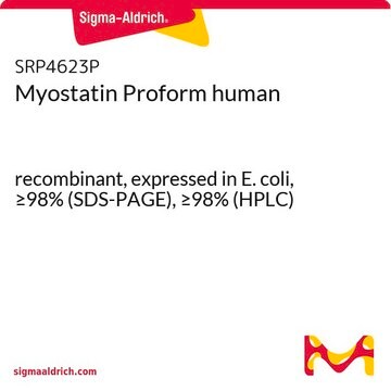 Myostatin Proform human recombinant, expressed in E. coli, &#8805;98% (SDS-PAGE), &#8805;98% (HPLC)