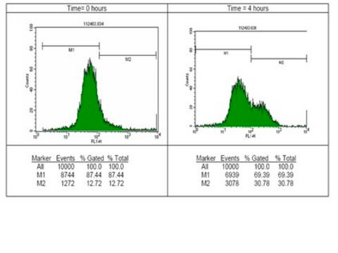 Anticuerpo anti-fosfo-histona H2A.X (Ser139), clon JBW301, conjugado con FITC clone JBW301, Upstate&#174;, from mouse