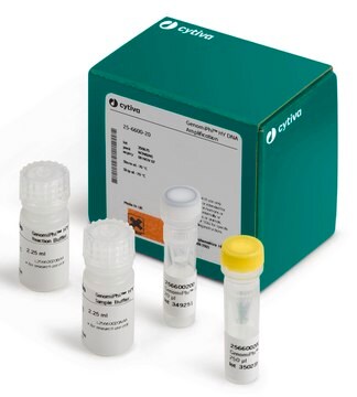 Genomiphi&#8482; Hy Kit Cytiva 25-6600-25, sufficient for 1000&#160;reactions