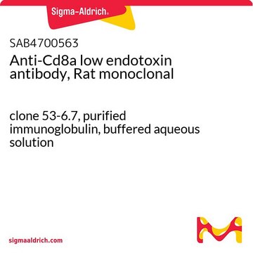 Anti-Cd8a low endotoxin antibody, Rat monoclonal clone 53-6.7, purified immunoglobulin, buffered aqueous solution