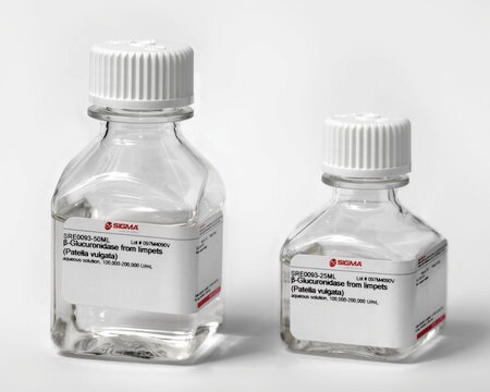 &#946;&#946;-Glucuronidasa from limpets (Patella vulgata) aqueous solution