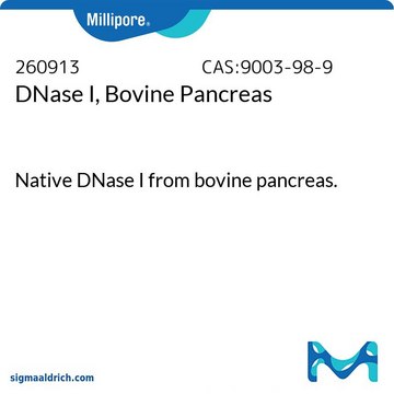 DNase I, Rinderpankreas Native DNase I from bovine pancreas.