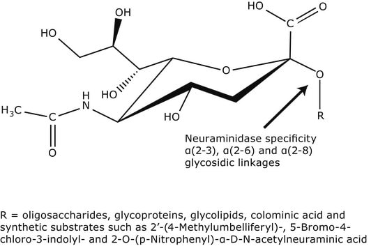 Neuraminidase aus Clostridium perfringens (C.&nbsp;welchii) Suitable for manufacturing of diagnostic kits and reagents, Type V, lyophilized powder