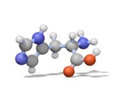 Trypsin-Inhibitor, Sojabohne, CAS-Nr. 9035-81-8, Calbiochem