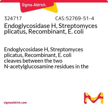 Endoglycosidase H, Streptomyces plicatus, rekombinant, E. coli Endoglycosidase H, Streptomyces plicatus, Recombinant, E. coli cleaves between the two N-acetylglucosamine residues in the diacetylchitobiose core of the oligosaccharide.