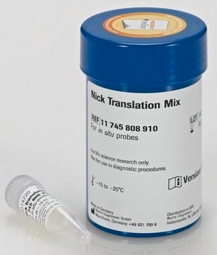 Nick Translation Mix sufficient for 50&#160;labeling reactions, pkg of 200&#160;&#956;L, solution