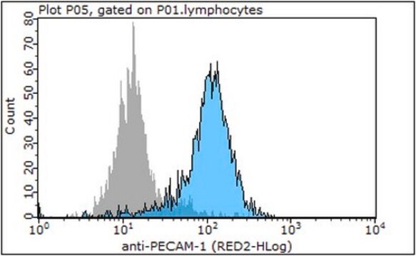 Anti-PECAM-1 Antibody, clone P2B1 (Ascites Free) clone P2B1, 1&#160;mg/mL, from mouse