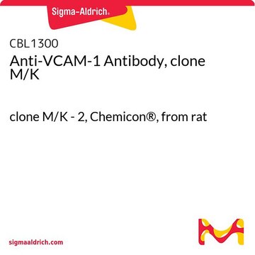 Anti-VCAM-1 Antibody, clone M/K clone M/K - 2, Chemicon&#174;, from rat