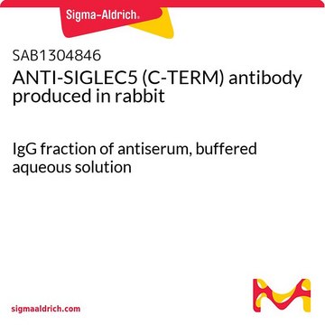 SATB2 (AB1) Blocking Peptide for PRS4627