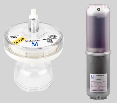 Kit&nbsp;: Cartouche Quantum&#174;&nbsp;EX et Millipak&#174; Kit with Millipak&#174; 40 Express Filter, For use with Milli-Q&#174; water purification systems.