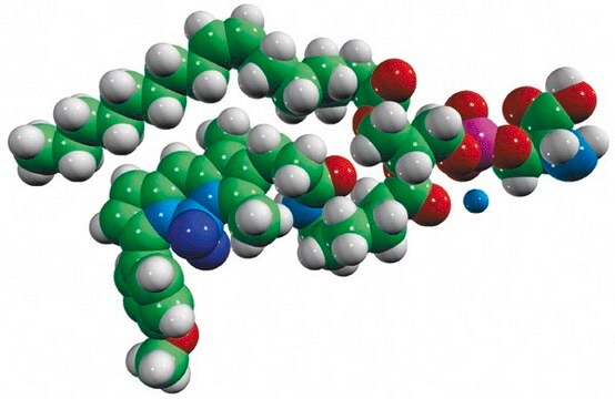 TopFluor&#8482; TMR PS Avanti Research&#8482; - A Croda Brand 810242C