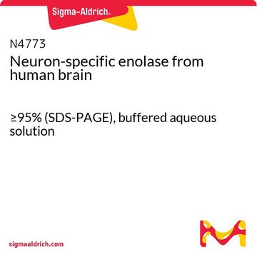 Neuron-specific enolase from human brain &#8805;95% (SDS-PAGE), buffered aqueous solution