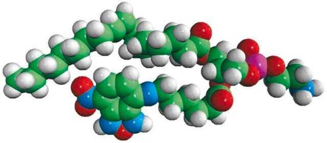 18:1-06:0 NBD PE Avanti Polar Lipids