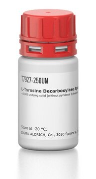 L-Tyrosine Decarboxylase Apoenzyme from Streptococcus faecalis &lt;0.005&#160;unit/mg solid (without pyridoxal 5-phosphate), &#8805;0.05&#160;unit/mg solid (with excess pyridoxal 5-phosphate)