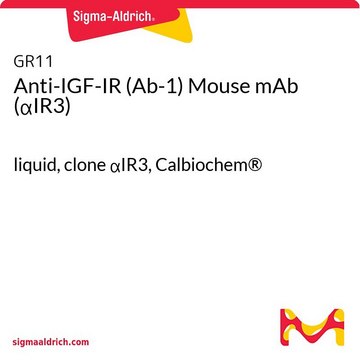 Anti-IGF-IR (Ab-1) Mouse mAb (&#945;IR3) liquid, clone &#945;IR3, Calbiochem&#174;