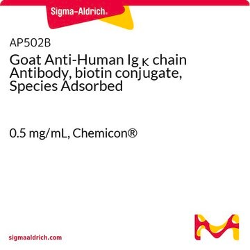 Goat Anti-Human Ig &#954; chain Antibody, biotin conjugate, Species Adsorbed 0.5&#160;mg/mL, Chemicon&#174;