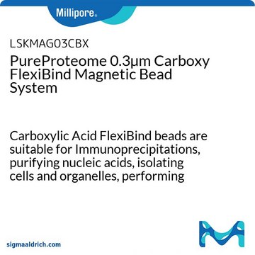 System kulek magnetycznych PureProteome 0,3 µm Carboxy FlexiBind Carboxylic Acid FlexiBind beads are suitable for Immunoprecipitations, purifying nucleic acids, isolating cells and organelles, performing protein-protein interaction studies and many other applications.