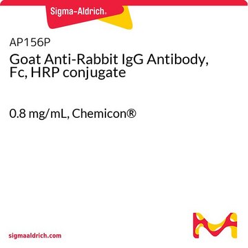 Goat Anti-Rabbit IgG Antibody, Fc, HRP conjugate 0.8&#160;mg/mL, Chemicon&#174;