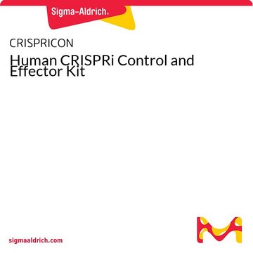 Human CRISPRi Control and Effector Kit