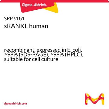 sRANKL human recombinant, expressed in E. coli, &#8805;98% (SDS-PAGE), &#8805;98% (HPLC), suitable for cell culture