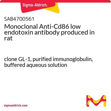 Monoclonal Anti-Cd86 low endotoxin antibody produced in rat clone GL-1, purified immunoglobulin, buffered aqueous solution