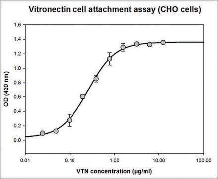 玻连蛋白 人 recombinant, expressed in HEK 293 cells, &#8805;95% (SDS-PAGE), &#8805;95% (HPLC), suitable for cell culture