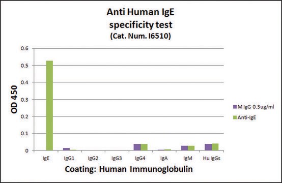 Monoclonal Anti-Human IgE antibody produced in mouse clone GE-1, ascites fluid