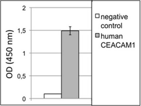 Anti-CEACAM1/CD66a-Antikörper, Klon B3-17 clone B3-17, from mouse