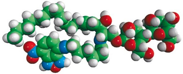 C6-NBD Lactosyl Ceramide Avanti Research&#8482; - A Croda Brand 810226P, powder