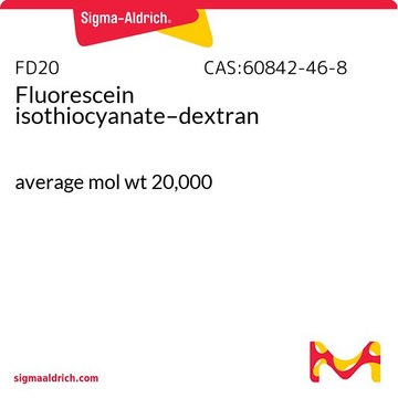 Isotiocianato de fluoresceína-dextrano average mol wt 20,000