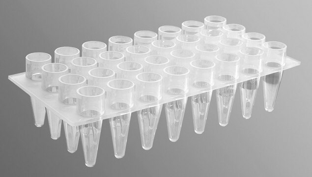 Corning&#174; Axygen&#174; PCR Microplate微板 size 32&#160;wells, conical bottom clear polypropylene wells, maximum volume 200&#160;&#956;L, pkg of 5x10plates/cs