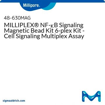 MILLIPLEX&#174; NF&#954;B シグナル伝達磁気ビーズキット 6 プレックスキット - 細胞シグナル伝達マルチプレックスアッセイ