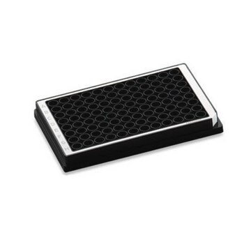 Eppendorf&#174; Microplate 96/U-PP, 96 wells white polypropylene, round bottom black wells, PCR clean, pkg of 80&#160;ea